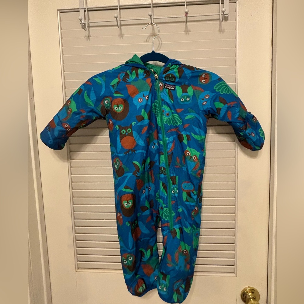 Reversible Patagonia Bunting